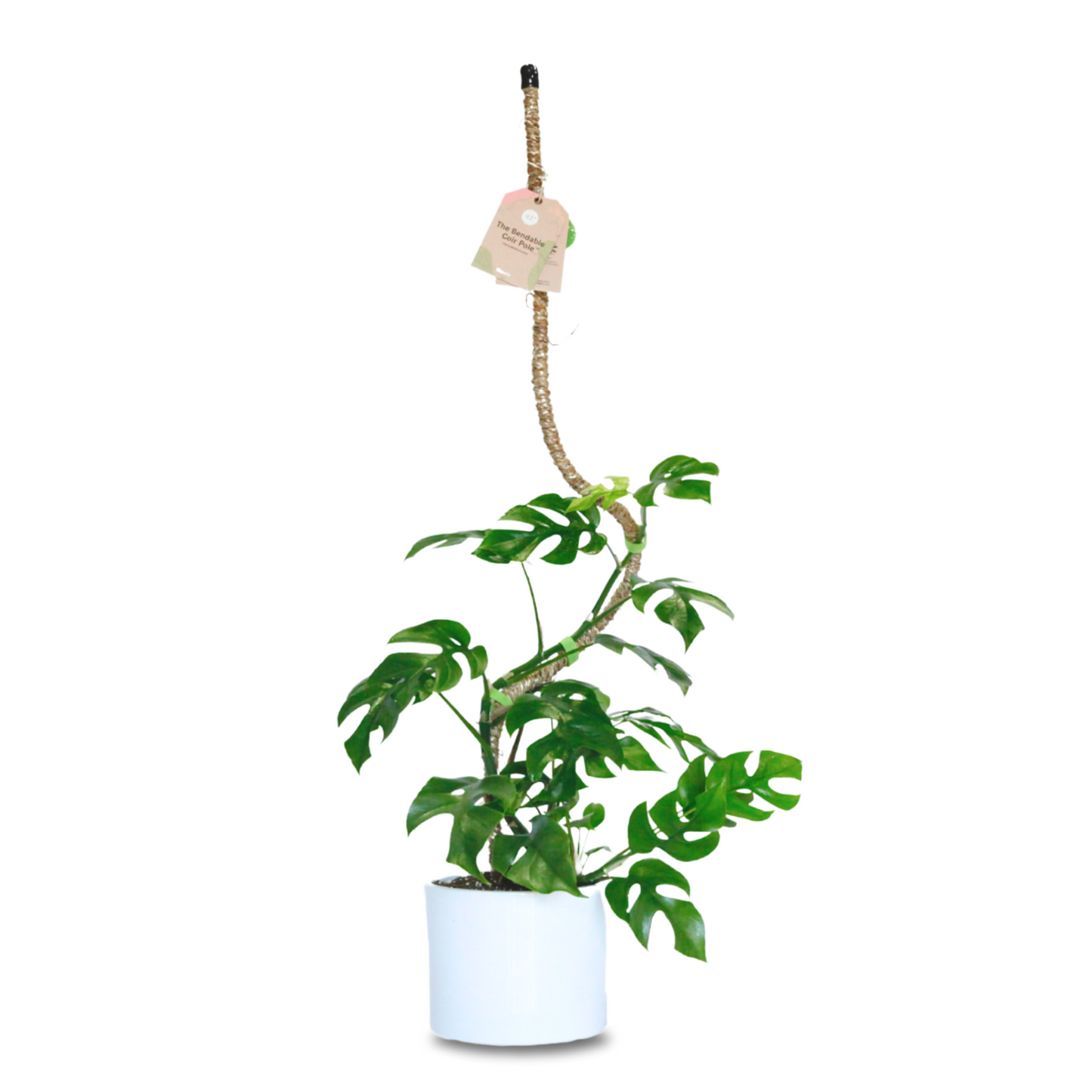 The Original Bendable Coir Pole - Best Seller (Tape Included)