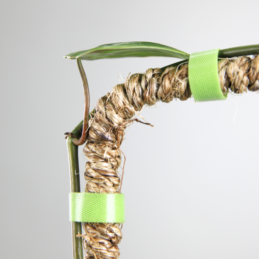 The Original Bendable Coir Pole - Best Seller (Tape Included)