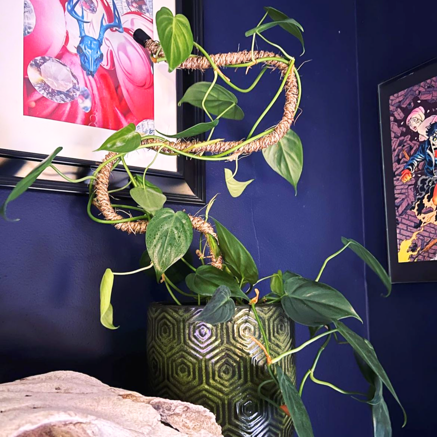 The Original Bendable Coir Pole - Best Seller (Tape Included)