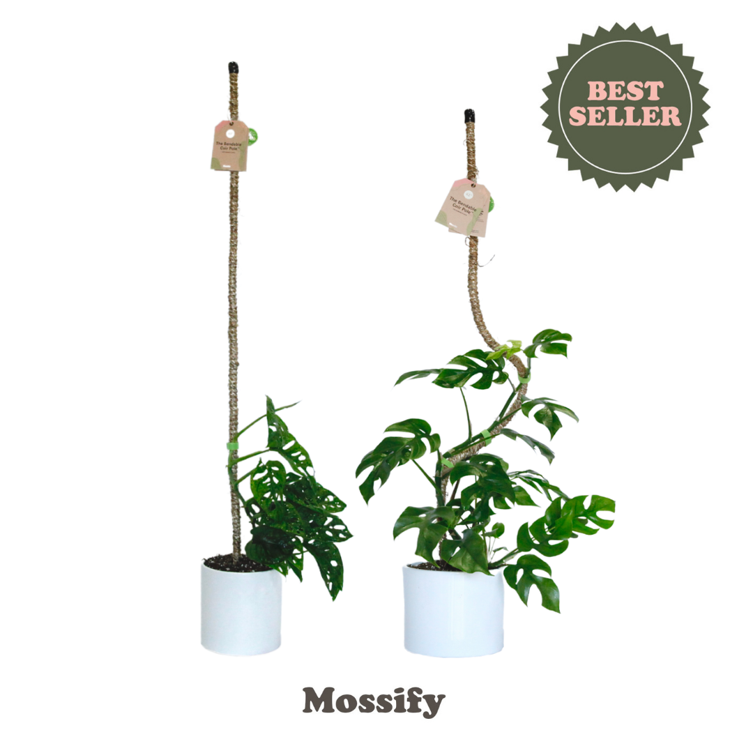 The Original Bendable Coir Pole - Best Seller (Tape Included)
