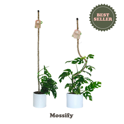 The Original Bendable Coir Pole - Best Seller (Tape Included)