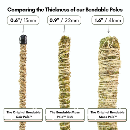 The Original Bendable Coir Pole - Best Seller (Tape Included)