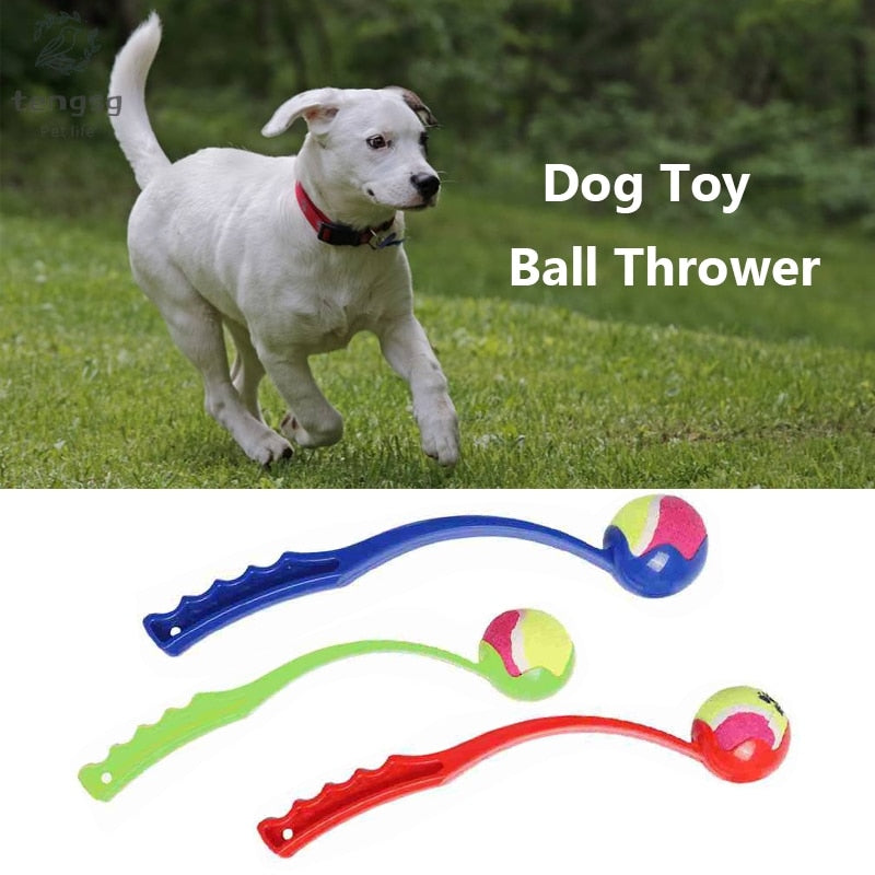 Pet Throwing ToysPet Supplies Outdoor Sports