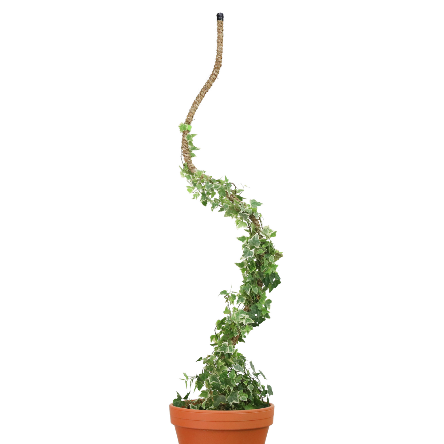 The Original Bendable Coir Pole - Best Seller (Tape Included)